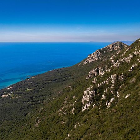 Artemis Prasoudi Beach Halikounas Экстерьер фото
